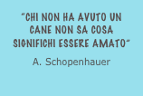 “Chi non ha avuto un cane non sa cosa significhi essere amato”
A. Schopenhauer